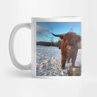 Scottish Highland Cattle Bull 1912 Mug